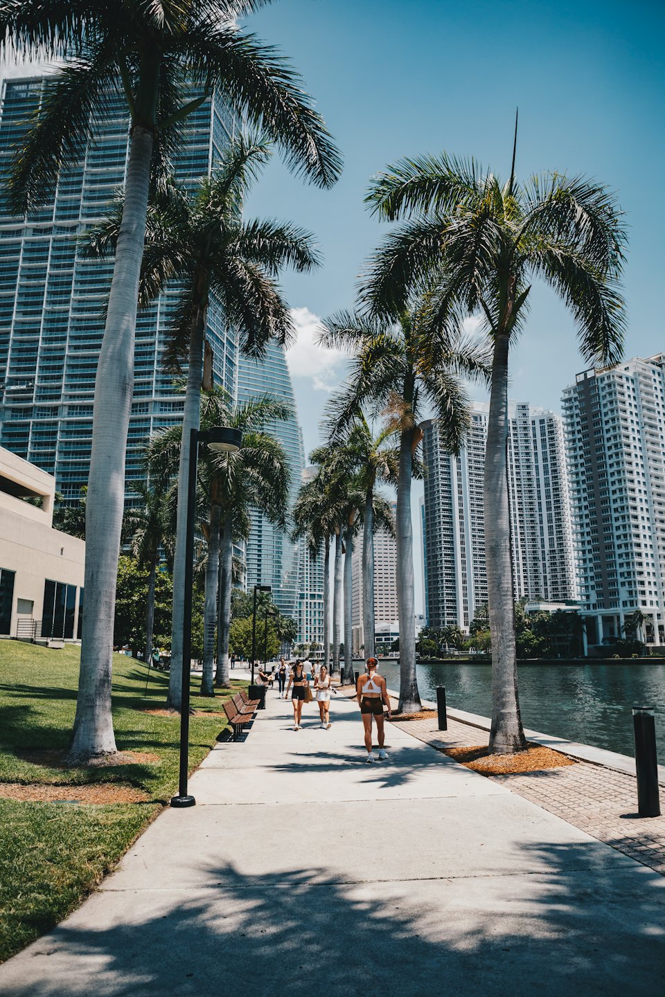 People walk along a palm lined promenade beside tall skyscrapers.